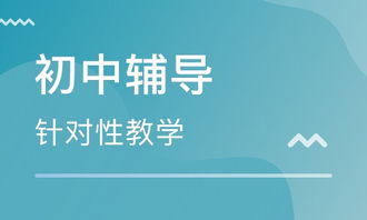 资深教师分享：如何高效地进行课外辅导