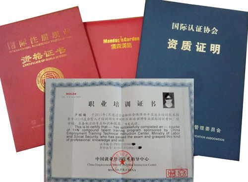 国际汉语教师资格证的考试内容