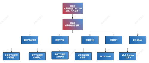 戏剧工作室组织架构